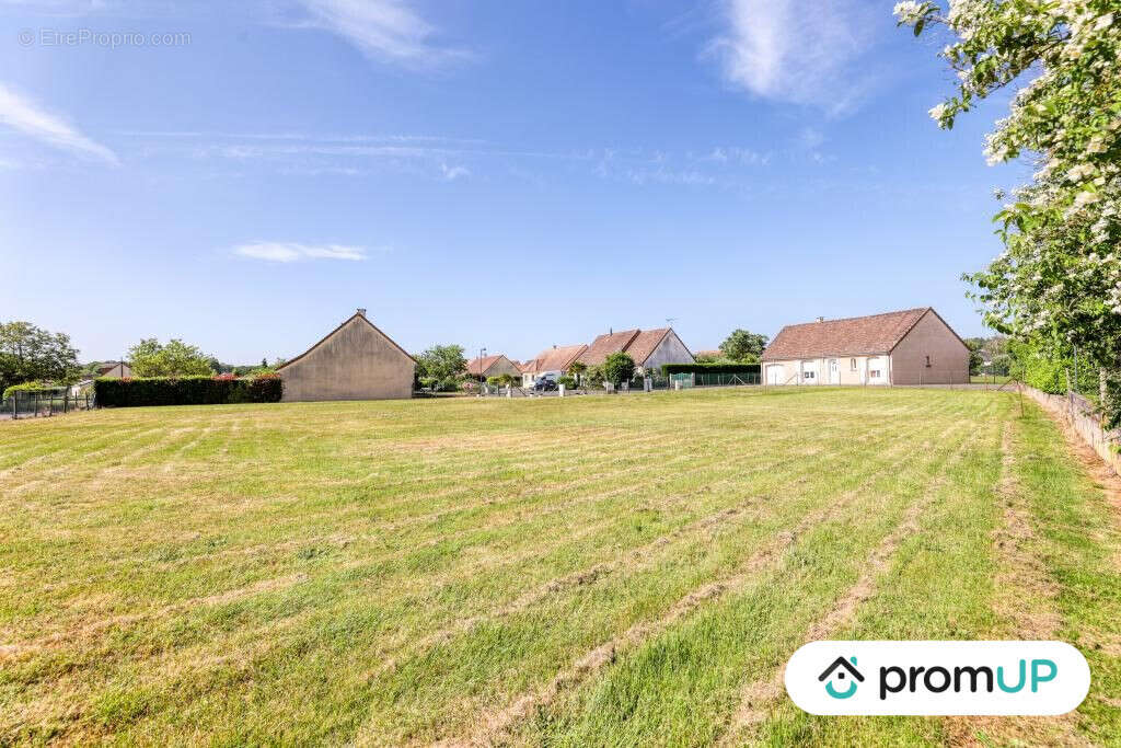 Terrain à MONCE-EN-BELIN