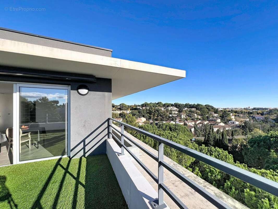 Photo 3 - Appartement à MONTPELLIER