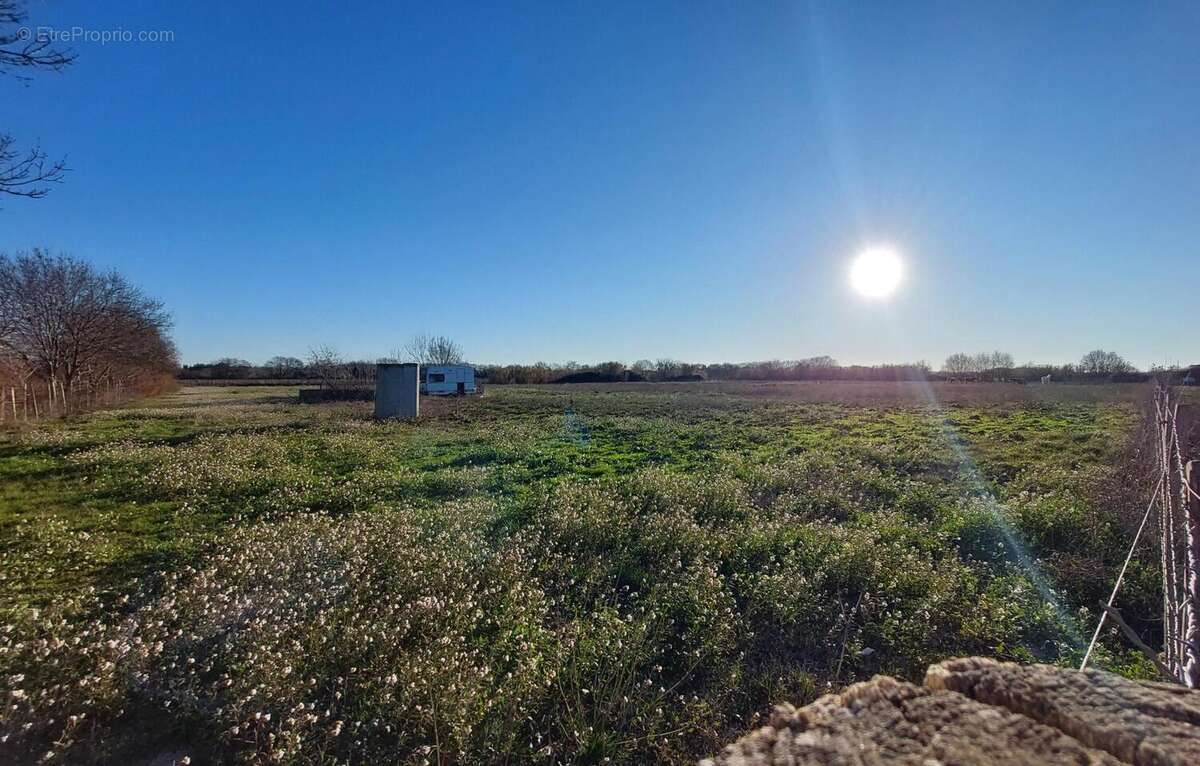 Photo 2 - Terrain à LE CAILAR