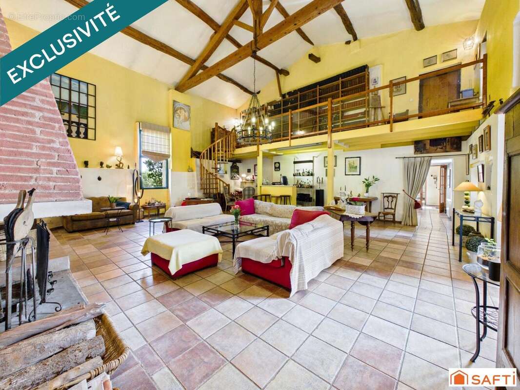 Maison 570 m² à La Magdelaine-Sur-Tarn  - photo 3