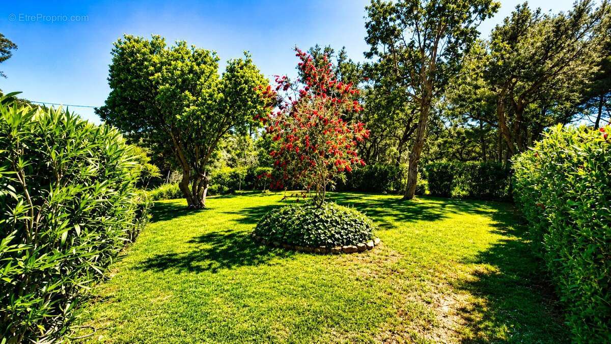 Maison 5 pièces / 106 m² / Studio /1 400 000 EUR / BORMES-LES-MIMOSAS - photo 9
