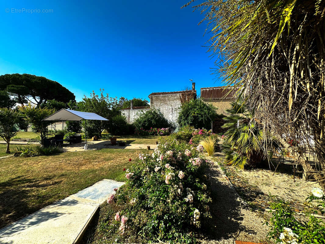 Maison à MESCHERS-SUR-GIRONDE