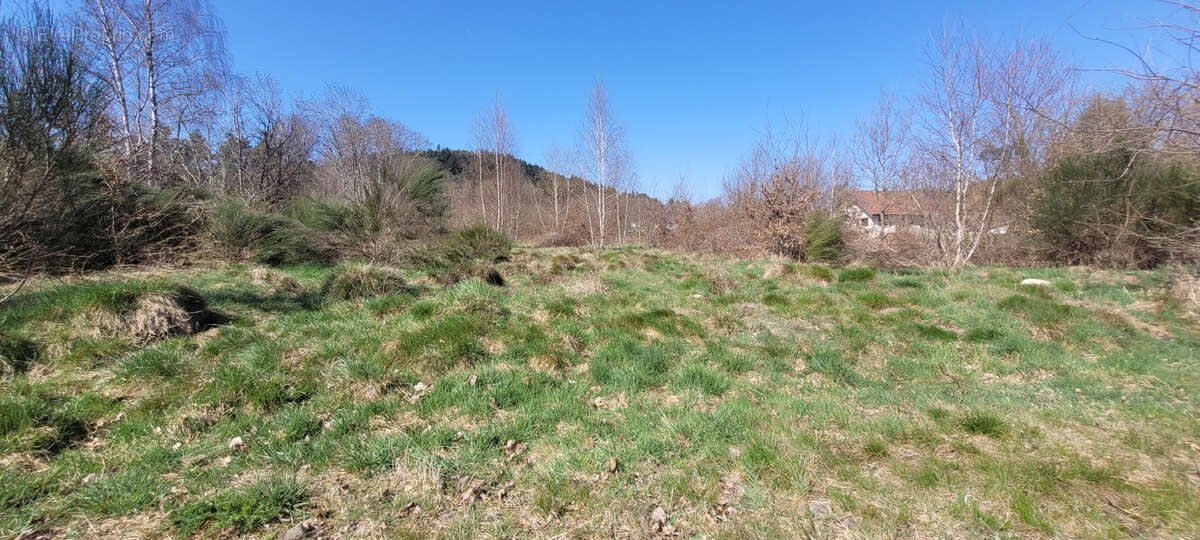 Terrain constructible - photo 5
