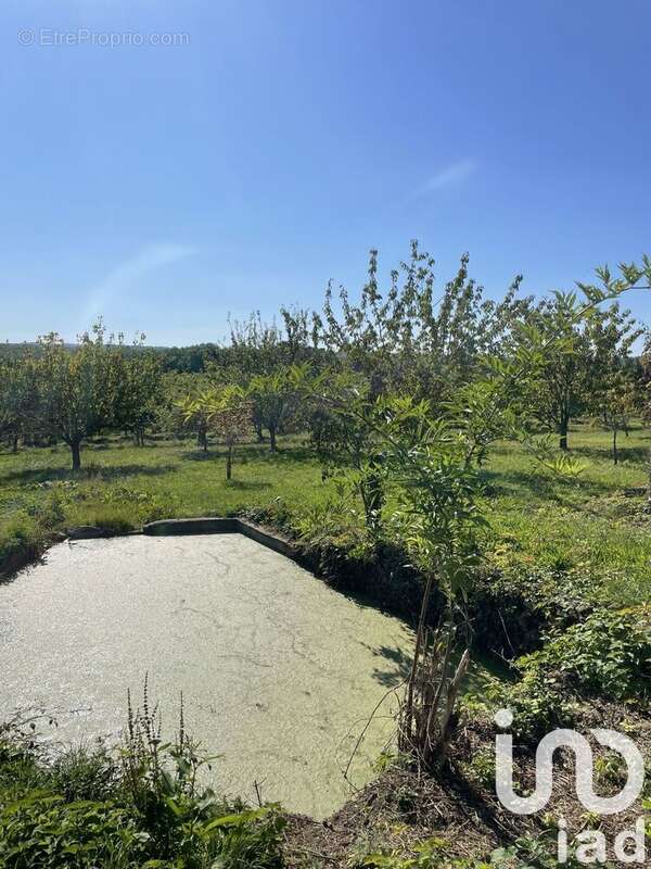 Photo 4 - Maison à COLOMBIER