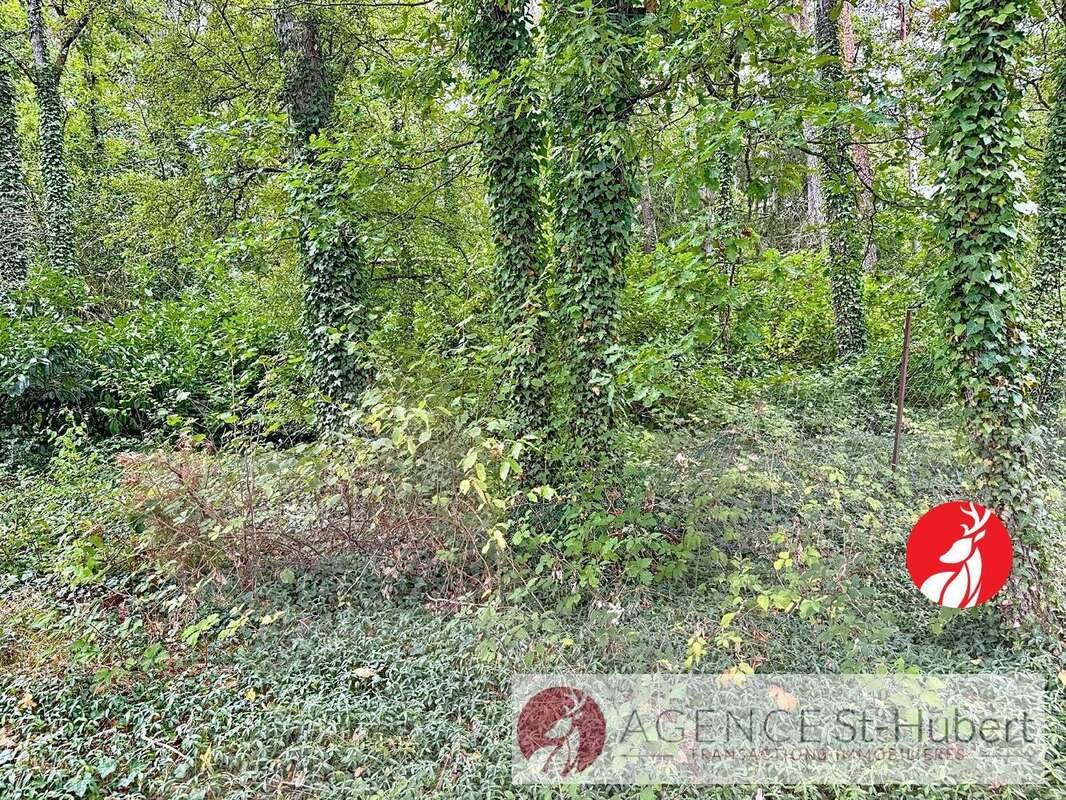 Maison à ACHERES-LA-FORET