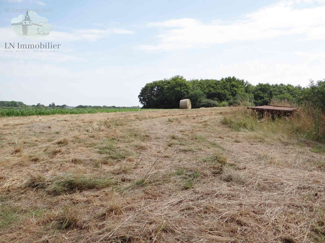 Manoir, Ploemeur, 250 m2 - photo 8