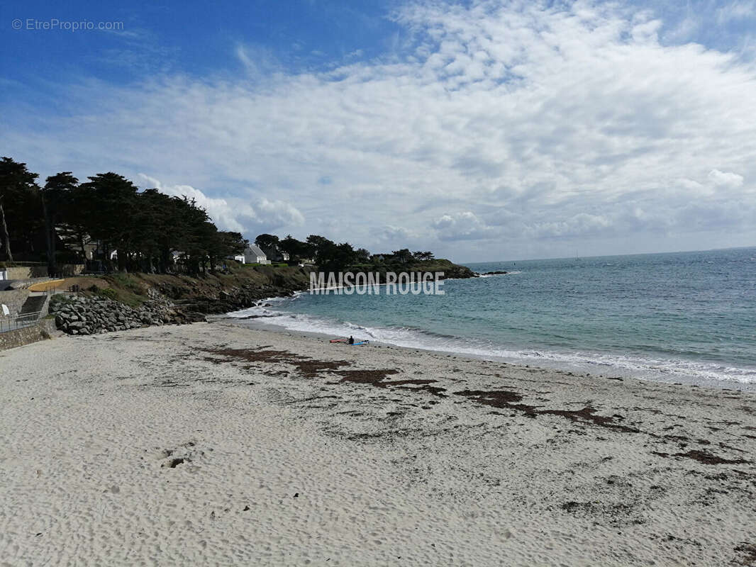 ARZON - Coup de coeur ! - photo 18