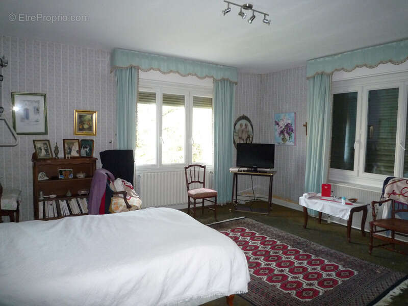 MONTDAUPHIN (77) à vendre ensemble immobilier composé de deux maisons, de 2 bâtiments industriels sur un terrain de  de 2 hectar - photo 14