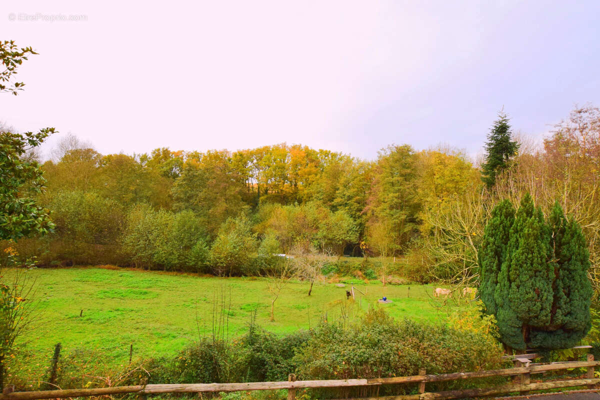 Maison à CHAMP-SUR-LAYON