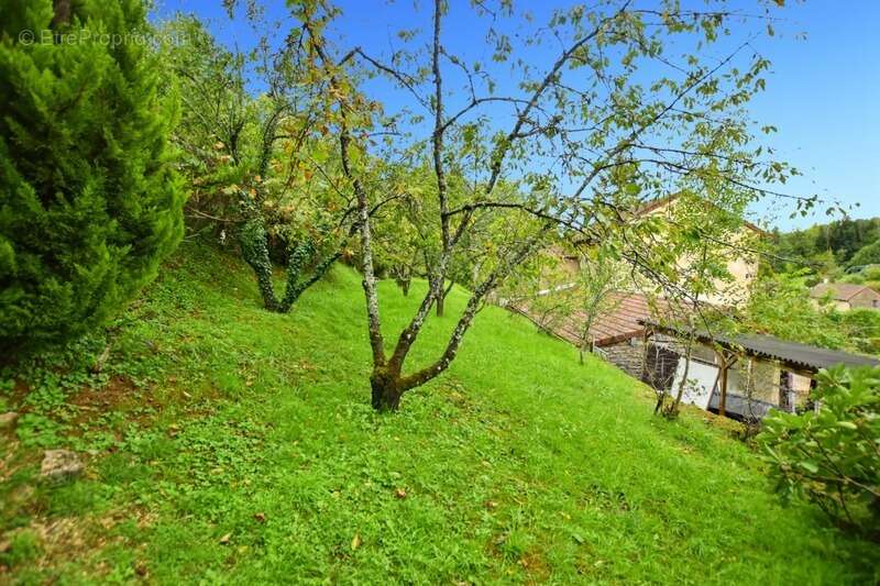 Ensemble de maisons avec 3000 m2 de terrain à Sernin du Plain - photo 7