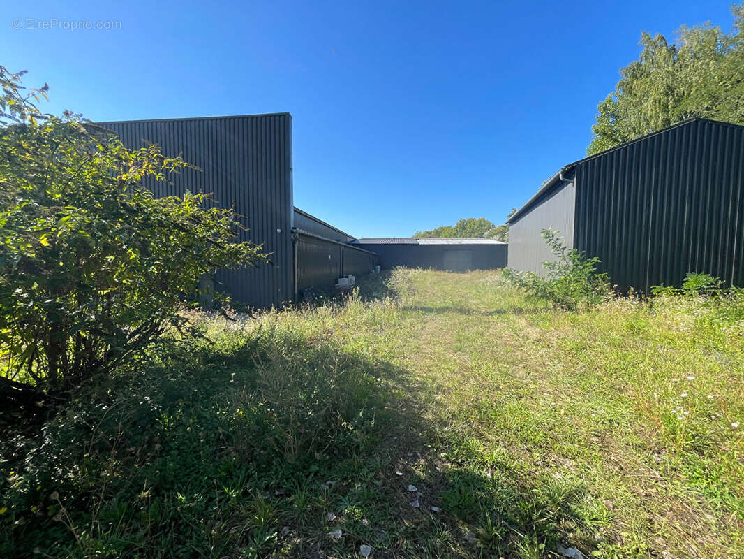 Commerce à SAINT-DIZIER