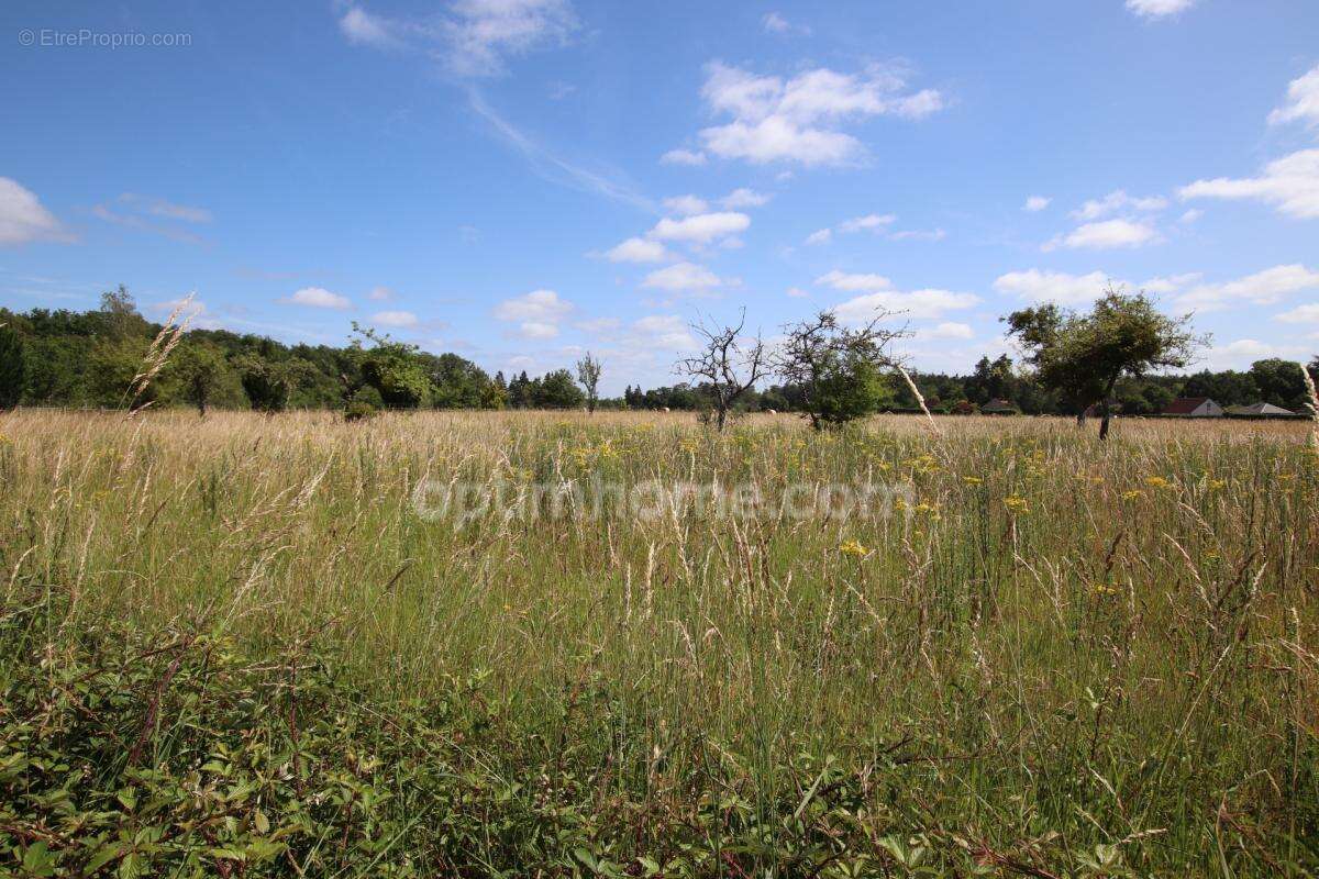 CHAUMONT SUR THARONNE, terrain  non viabilisé hors lotissement - photo 2