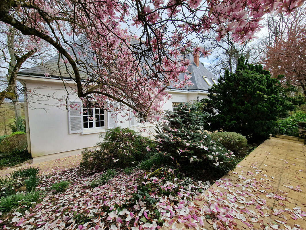 Maison à JOUE-LES-TOURS