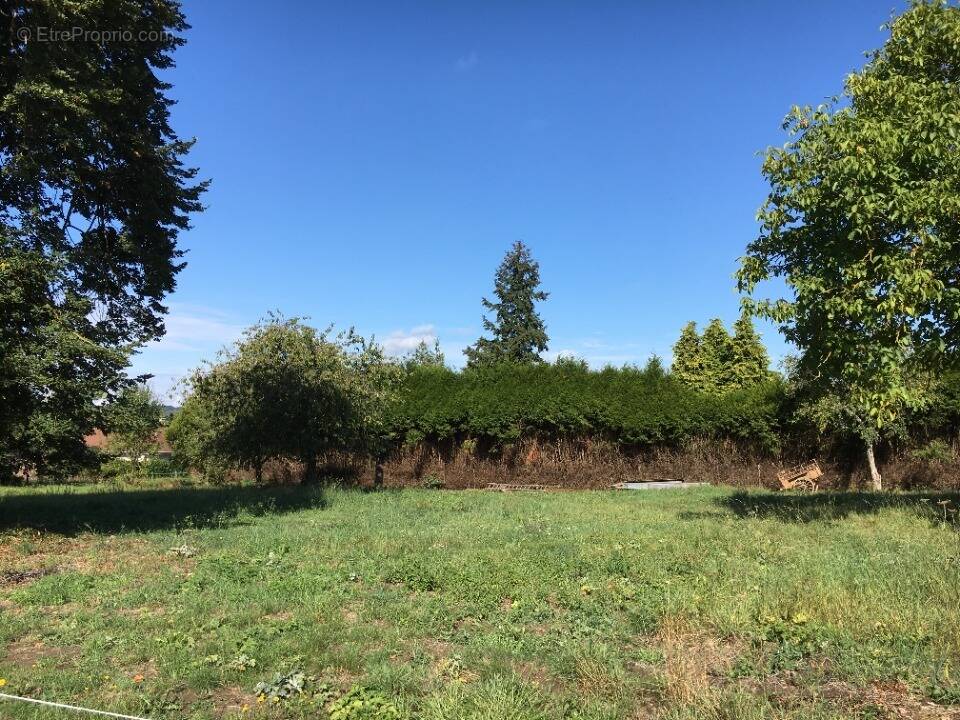 Terrain à ORGEVAL