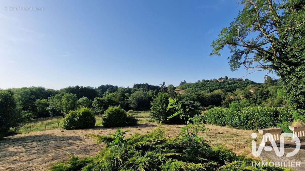 Maison 330 m² à Saint-Haon-Le-Vieux  - photo 9