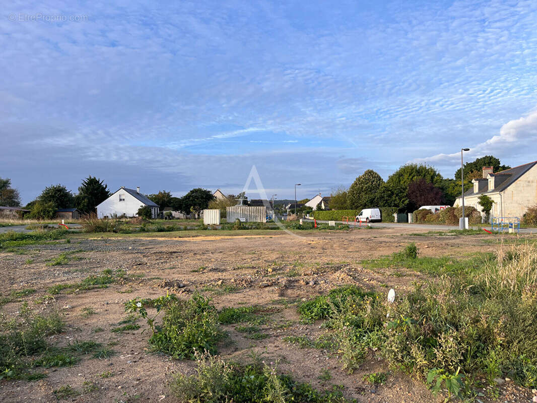 Terrain à LA MENITRE