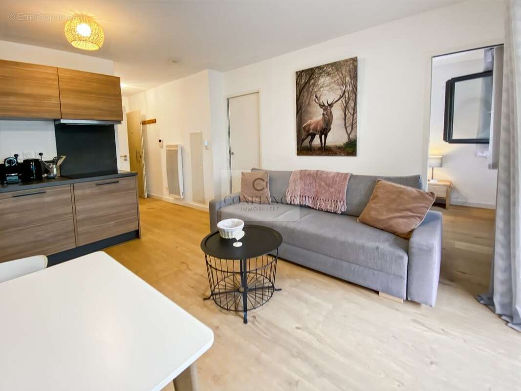 Appartement à SAINT-ETIENNE-DE-TINEE