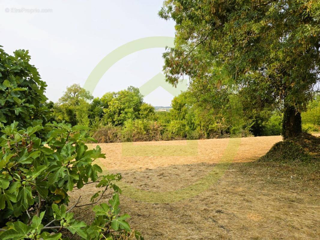 Terrain à SAINT-BONNET-SUR-GIRONDE