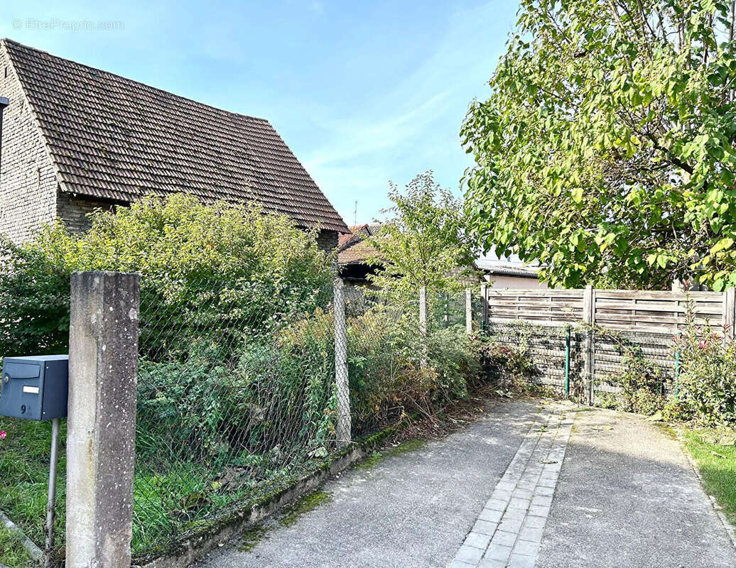 Terrain à LA WANTZENAU