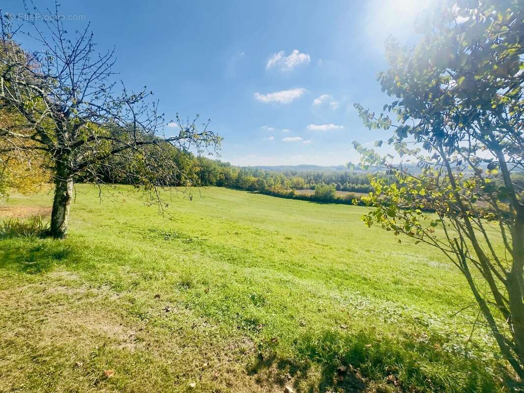 Maison à MONBAZILLAC