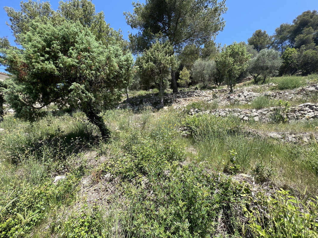 Terrain à TOURRETTE-LEVENS