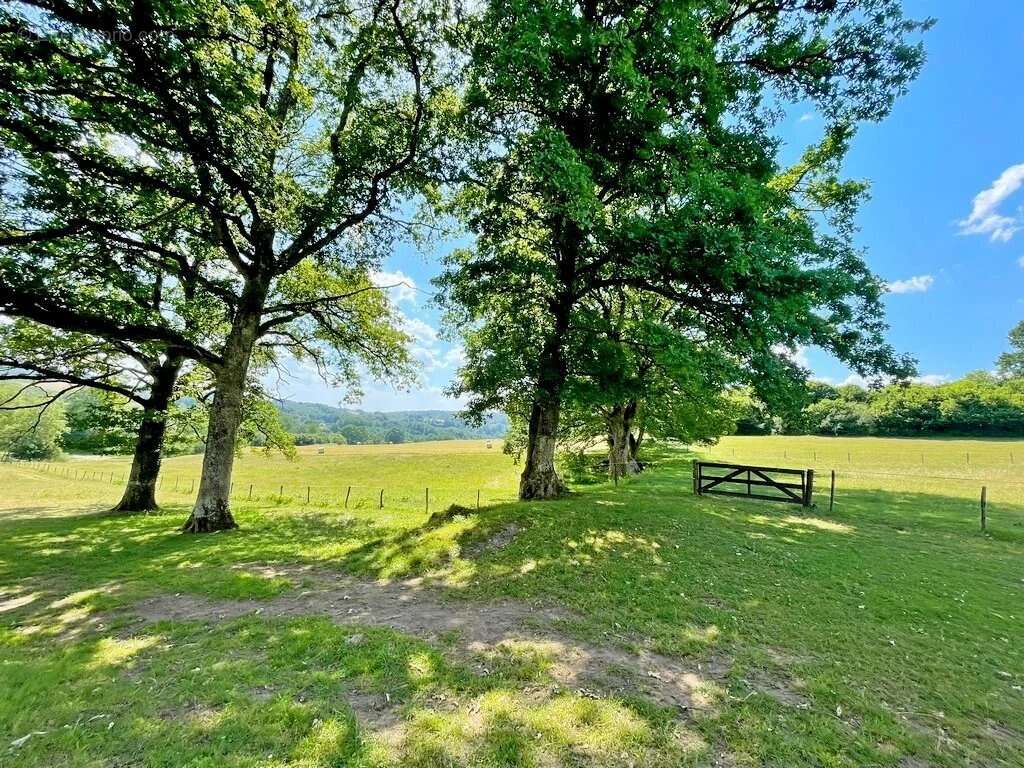 Exclusivité – Bourgogne, Morvan des Lacs – Secteur DUN-LES-PLACES - Une propriété de plus de 15 hectares, idéale pour une activi - photo 7