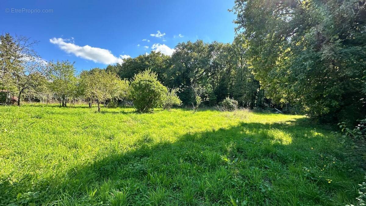 Photo 1 - Terrain à CHANIERS