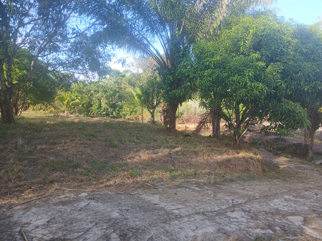 Terrain à MACOURIA