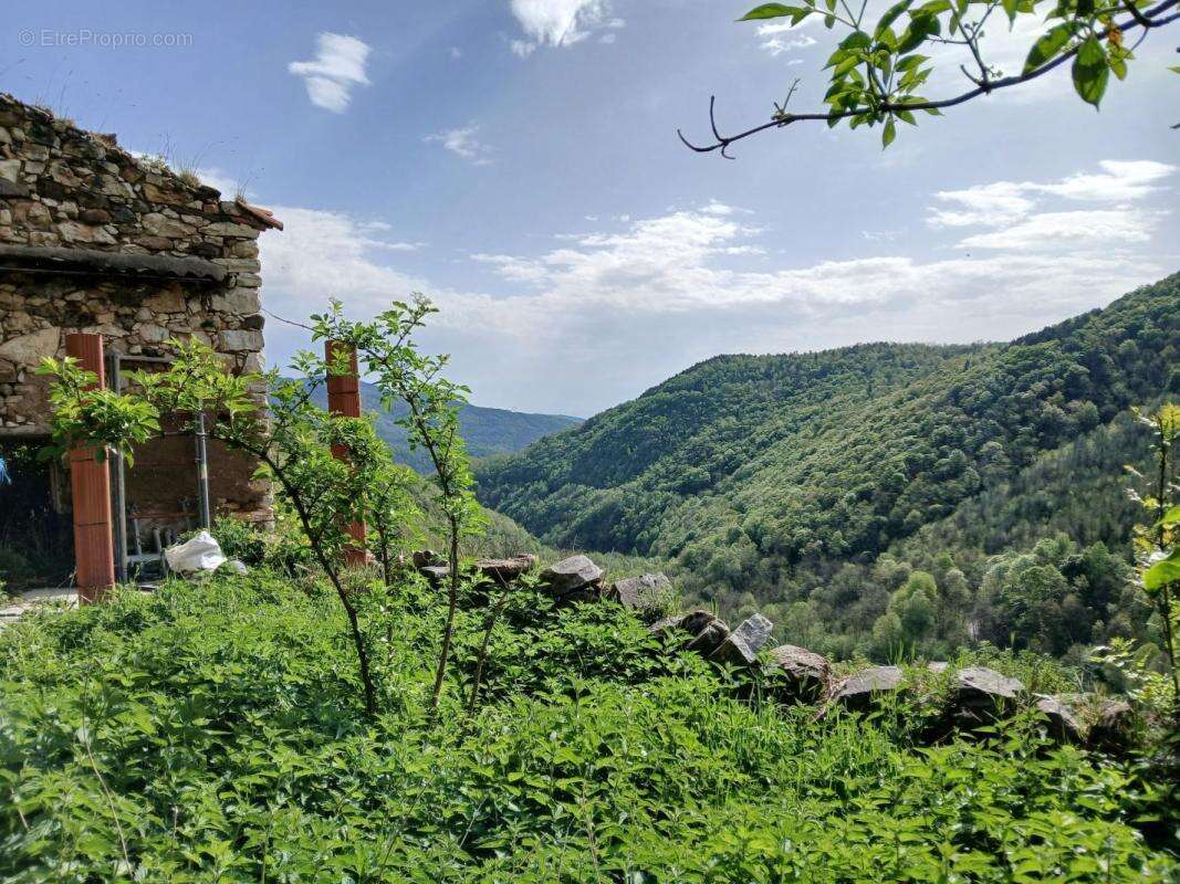 Terrain à CORSAVY