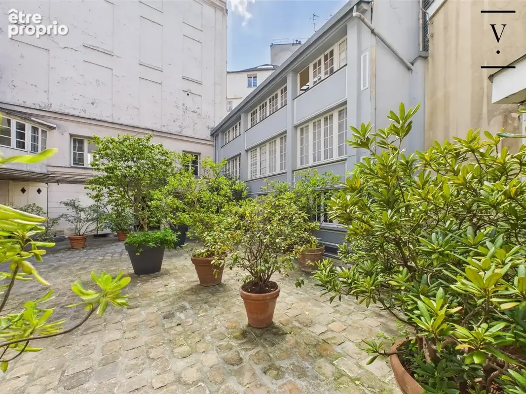 Rue de Seine - photo 12