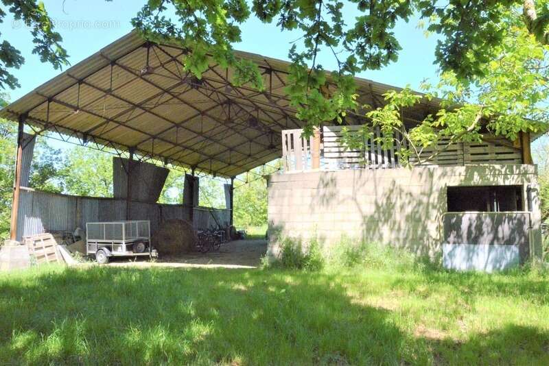 Belle longère avec dépendances - 6 pièces -  BEAUMONTOIS EN PERIGORD (24) - photo 13