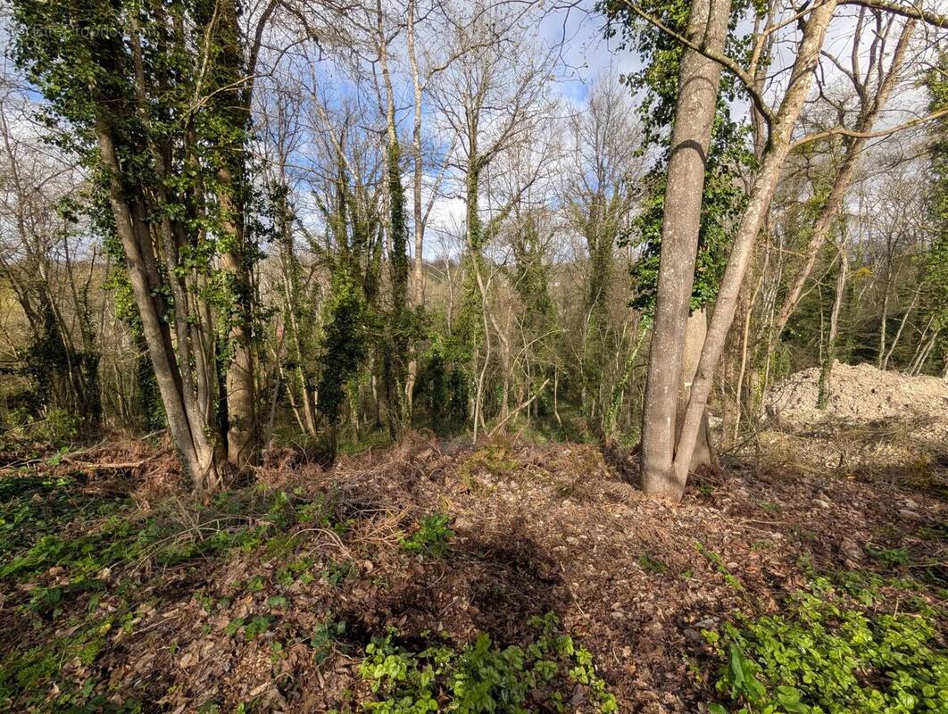 Terrain à FONTAINE-LE-PORT