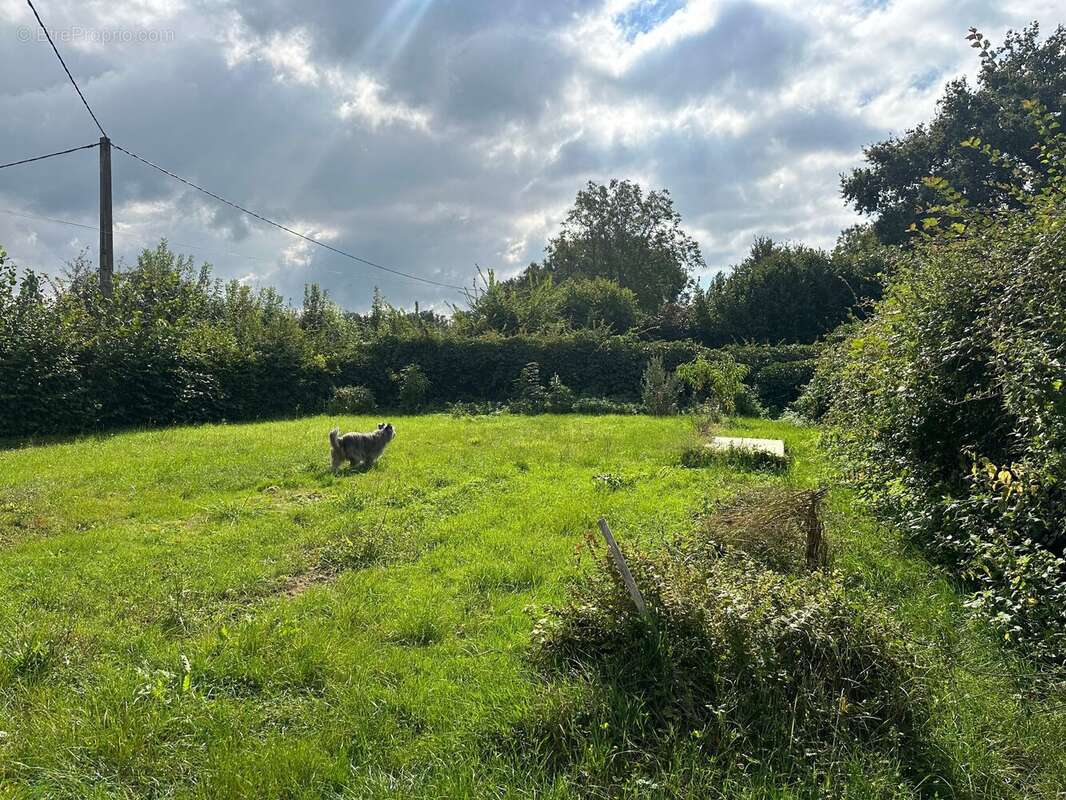 Maison à MONTGIVRAY