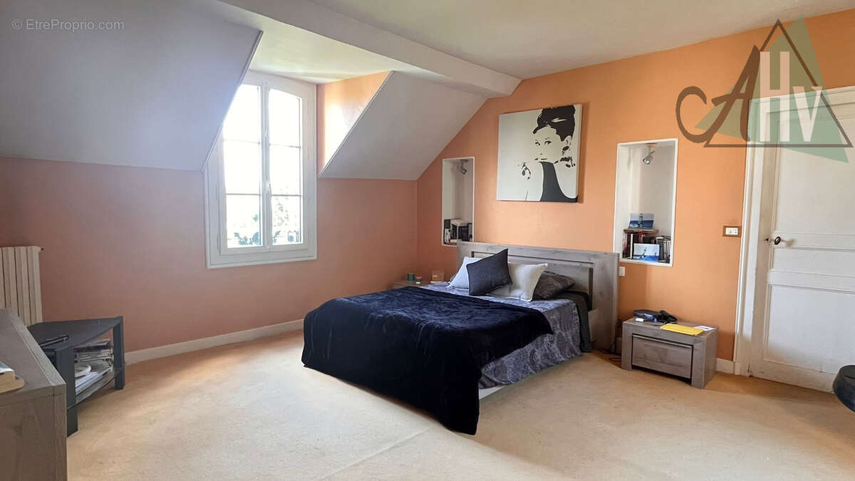 Maison bourgeoise située entre Bray-sur-Seine et Nogent-sur-Seine - photo 14