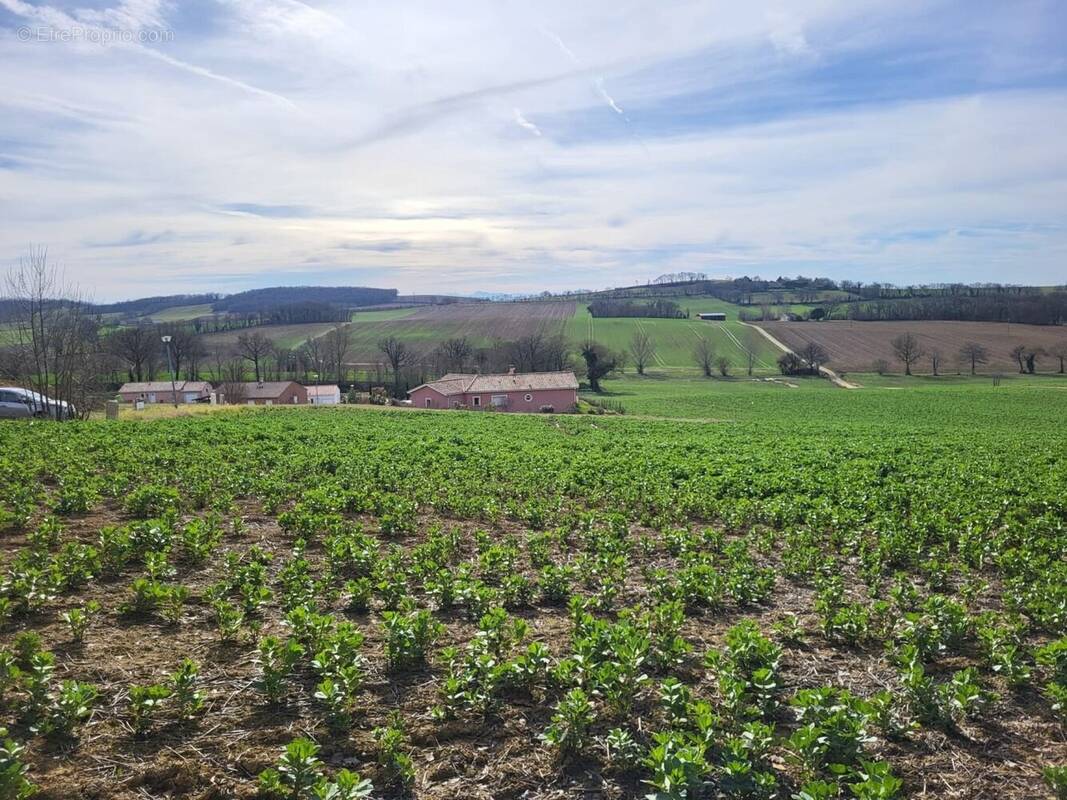 Terrain à PUYCASQUIER