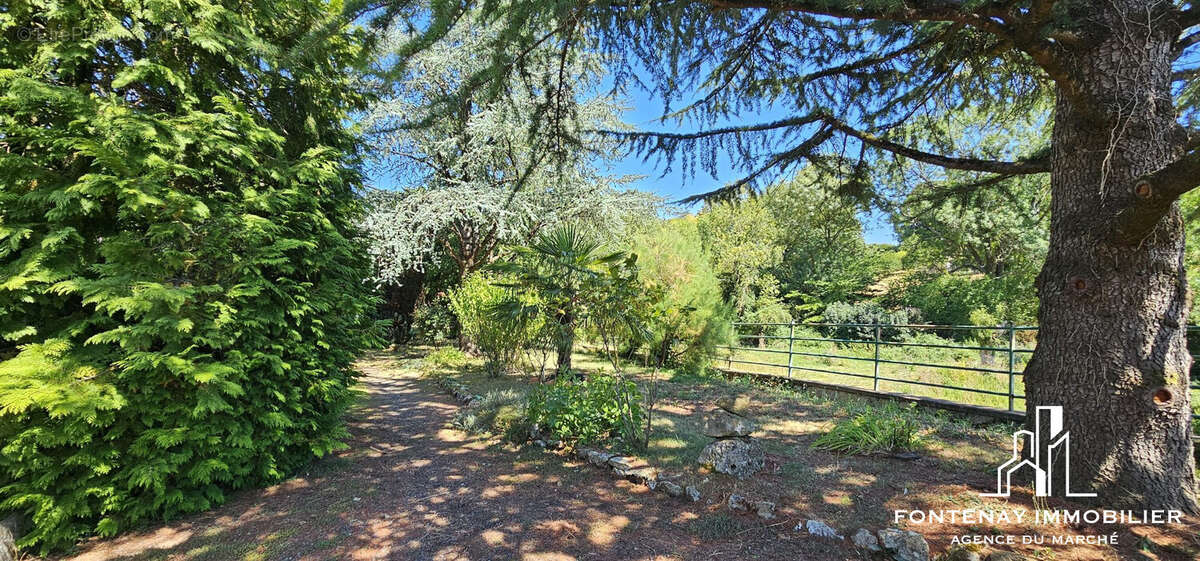 Maison 146 m² à Saint-Hilaire-Des-Loges  - photo 2