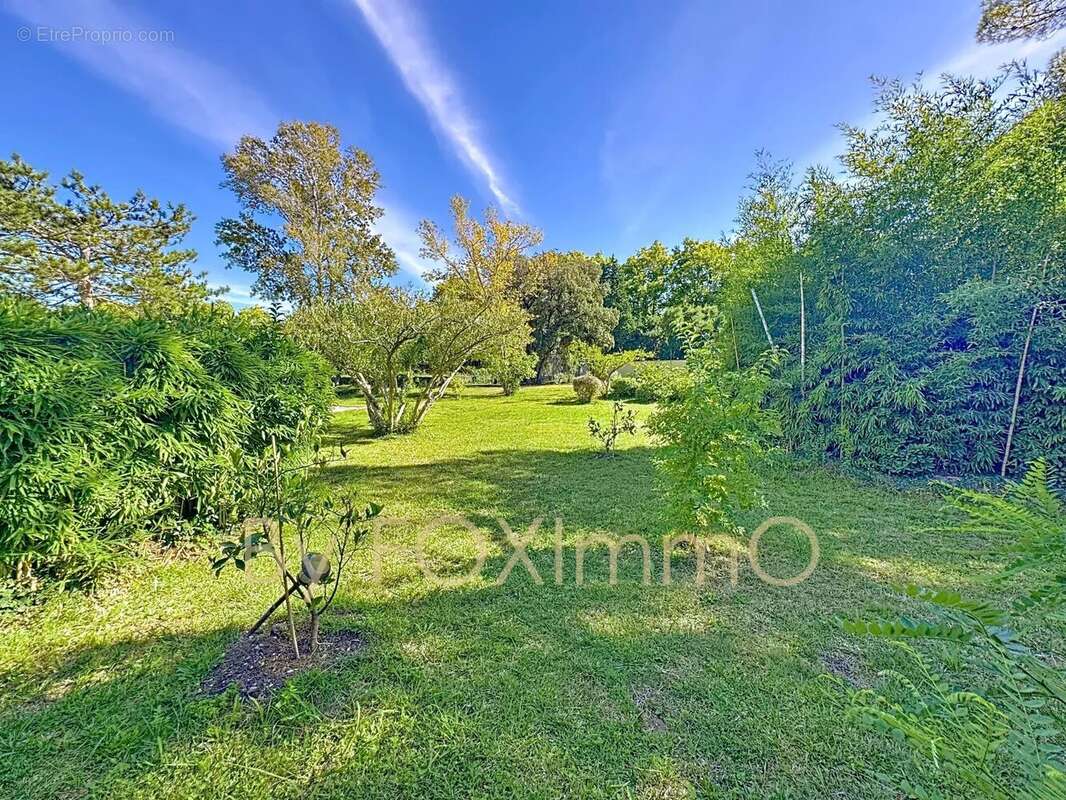 Un domaine d’exception au cœur des Alpilles - photo 15