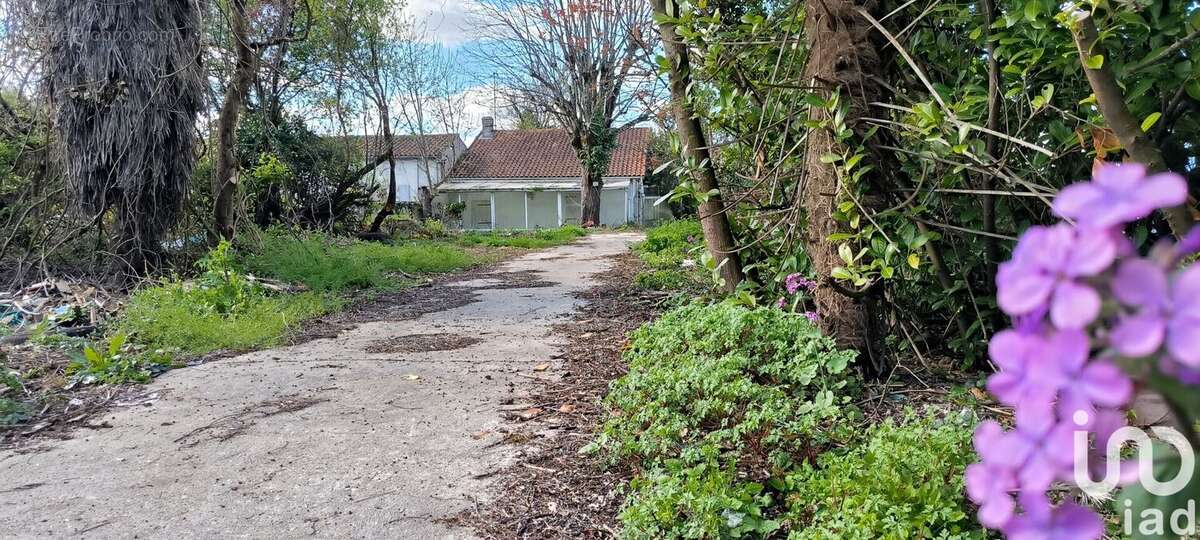 Photo 5 - Maison à COGNAC