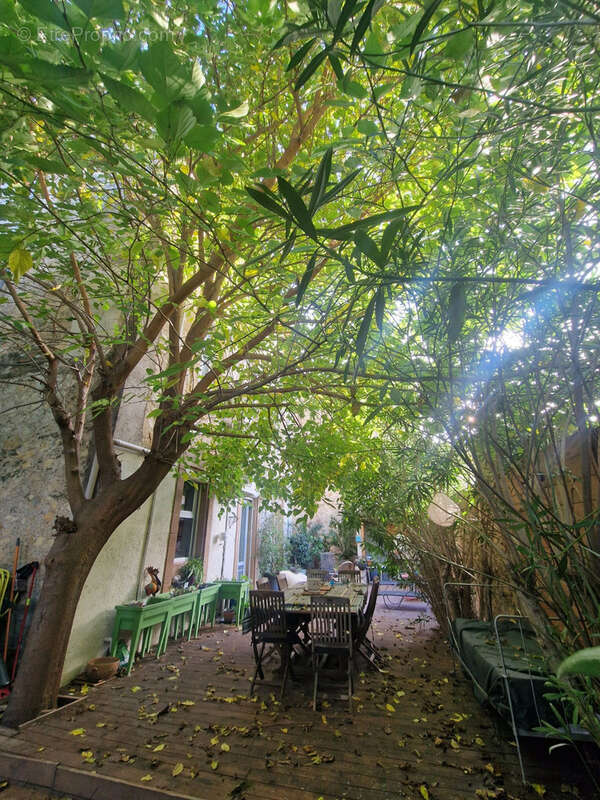 Maison à SALLES-D'AUDE