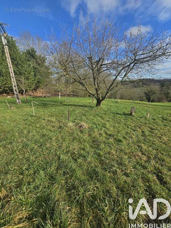 Photo 2 - Terrain à MORVILLE-SUR-SEILLE