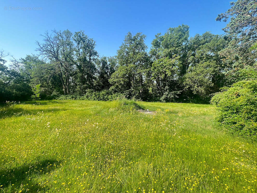 Appartement à MONTRABE