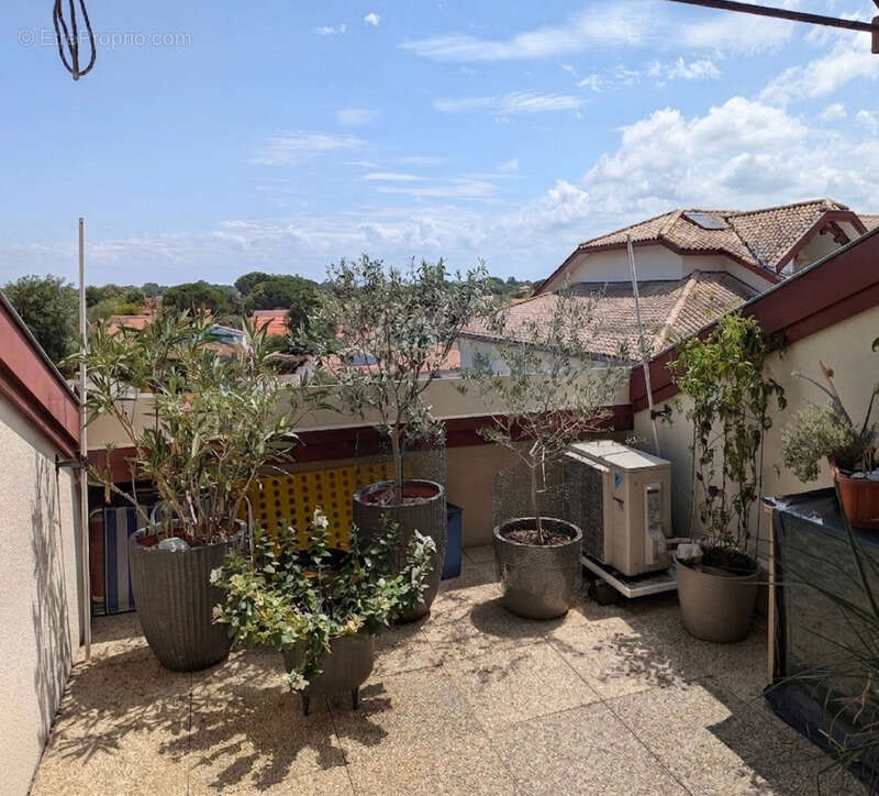 Appartement à vendre 4 pièces GUJAN MESTRAS (33) - photo 7