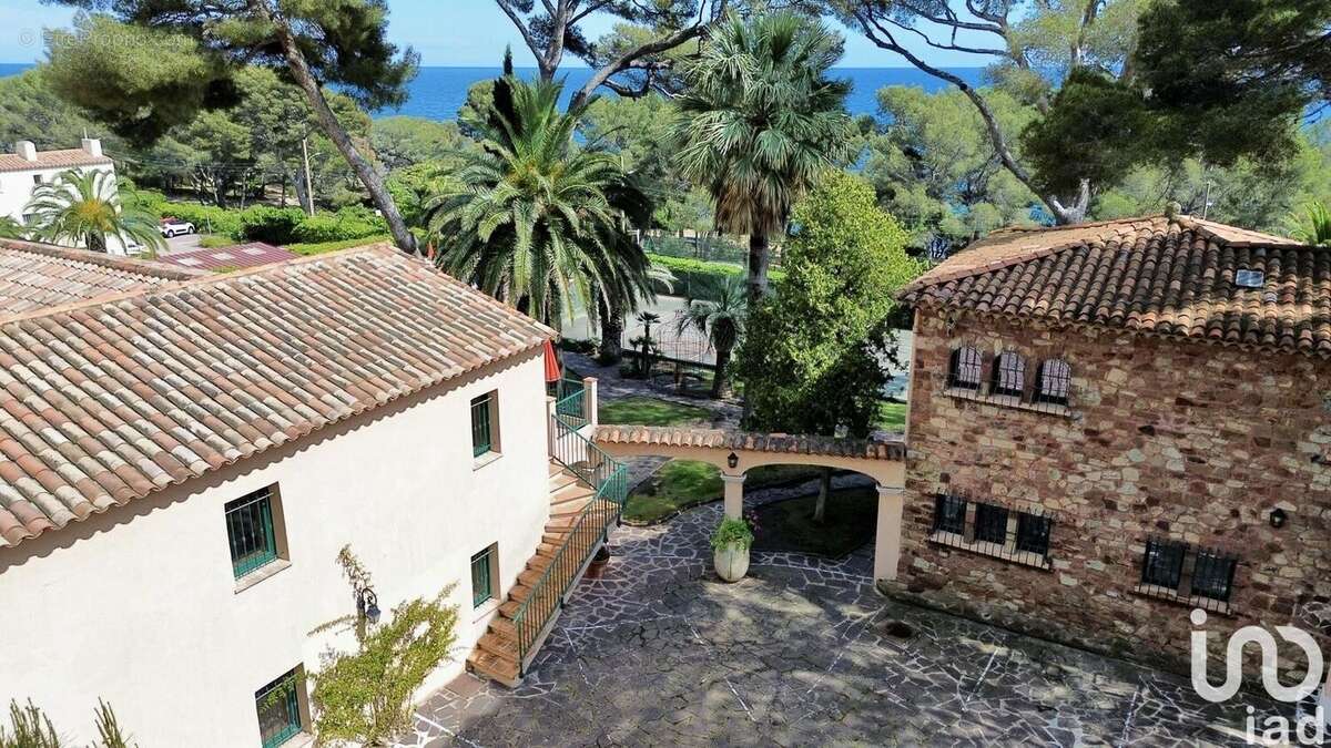 Photo 4 - Commerce à ROQUEBRUNE-SUR-ARGENS