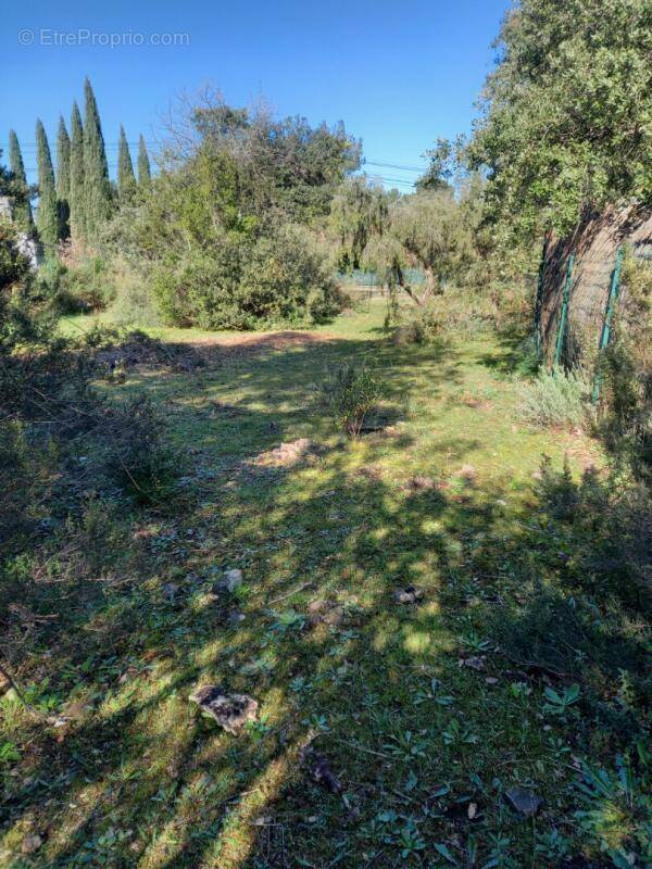 Terrain à LE CANNET-DES-MAURES