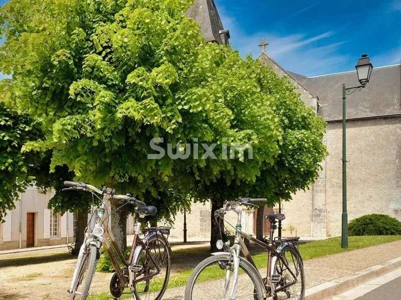 Commerce à CHEVERNY