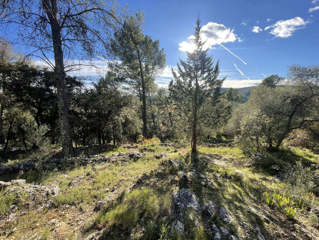 Maison à MONTFORT-SUR-ARGENS