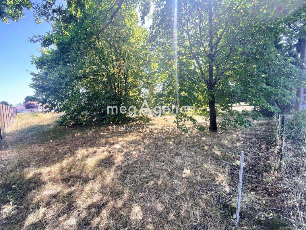 Terrain constructible, 627m², St Leger sous Cholet - photo 2