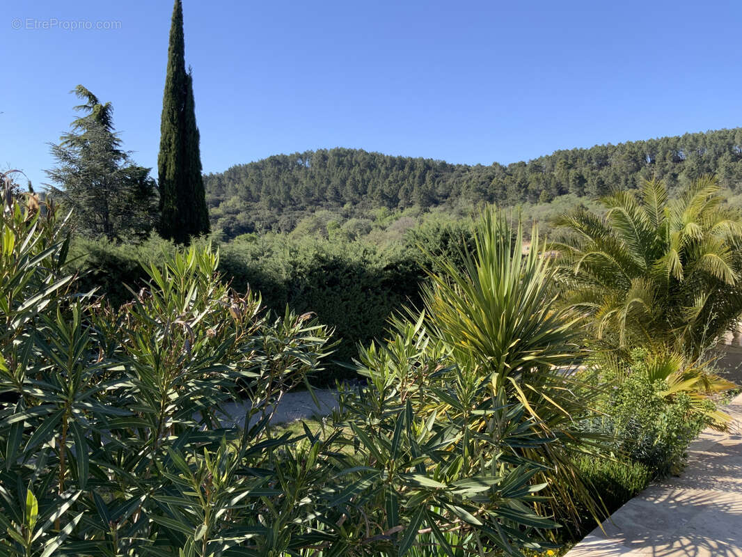 Villa avec vue montagne et piscine - photo 16
