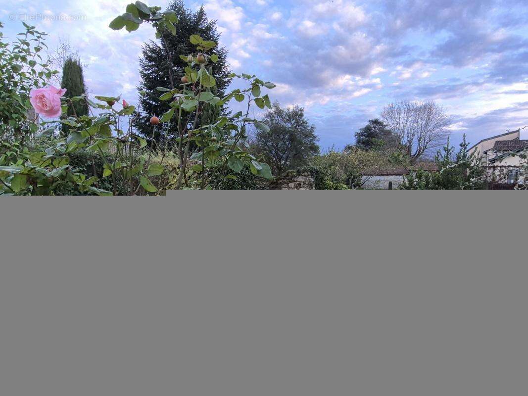 Maison à NEUVILLE-LES-DAMES