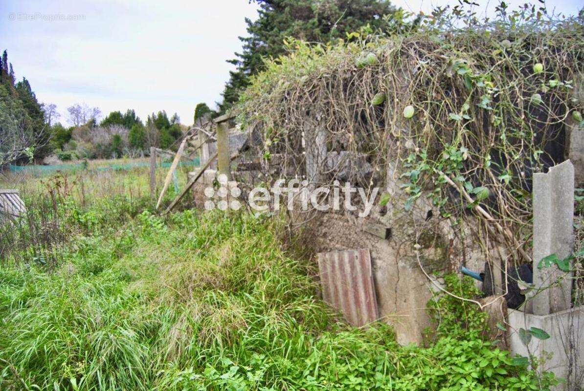 Maison à SAINT-FELIU-D&#039;AVALL